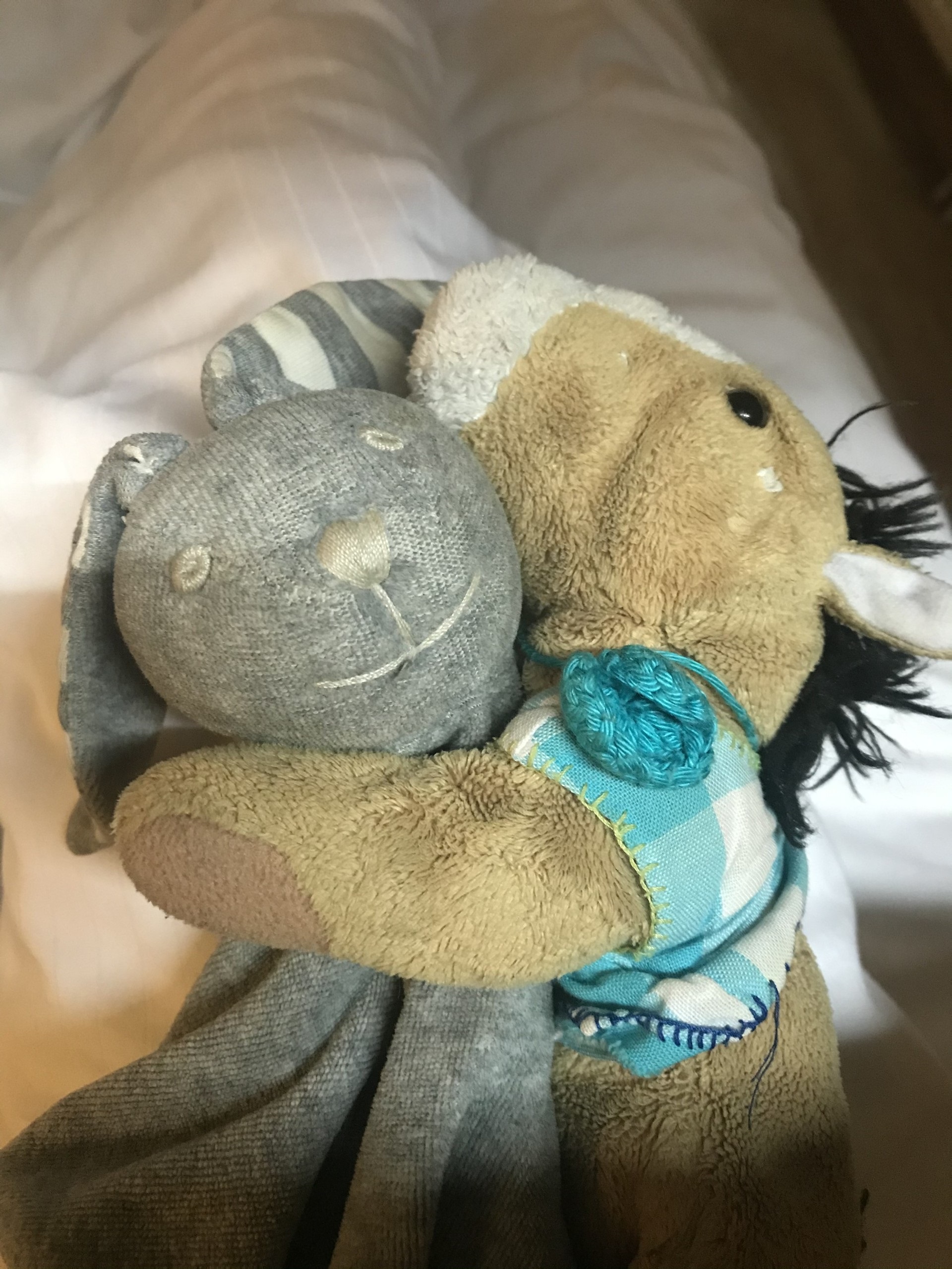 Twee knuffels